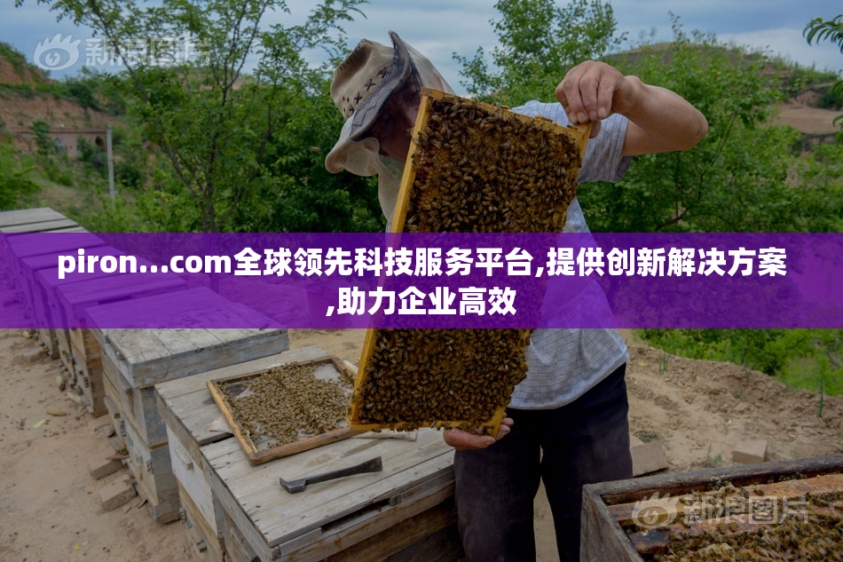 piron…com全球领先科技服务平台,提供创新解决方案,助力企业高效