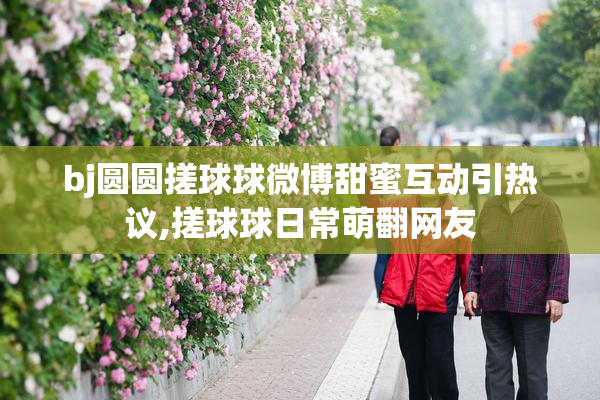 bj圆圆搓球球微博甜蜜互动引热议,搓球球日常萌翻网友