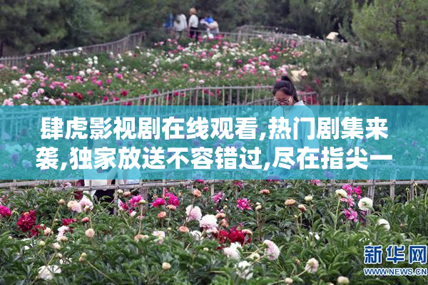 肆虎影视剧在线观看,热门剧集来袭,独家放送不容错过,尽在指尖一触