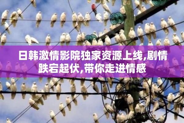 日韩激情影院独家资源上线,剧情跌宕起伏,带你走进情感