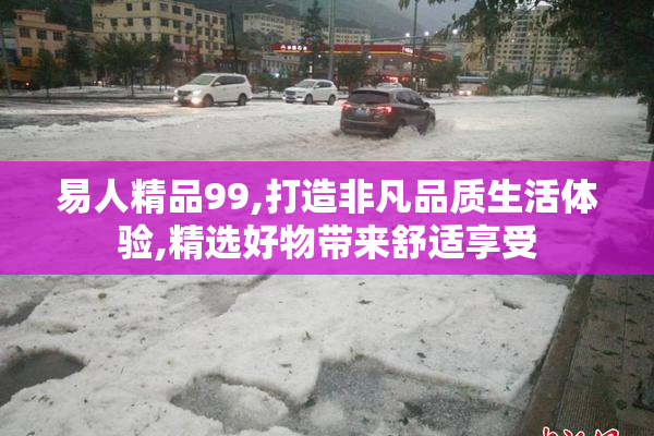 易人精品99,打造非凡品质生活体验,精选好物带来舒适享受