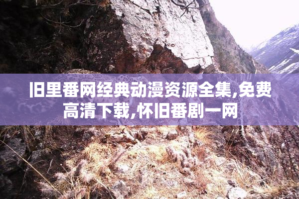旧里番网经典动漫资源全集,免费高清下载,怀旧番剧一网