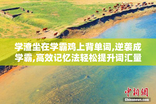 学渣坐在学霸鸡上背单词,逆袭成学霸,高效记忆法轻松提升词汇量