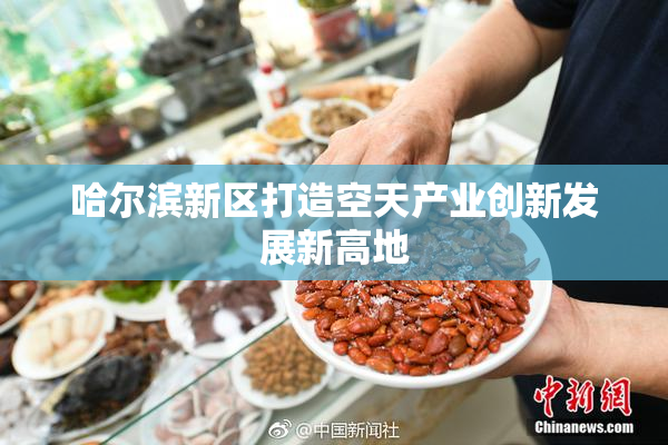 哈尔滨新区打造空天产业创新发展新高地