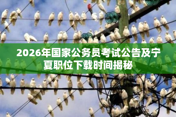 2026年国家公务员考试公告及宁夏职位下载时间揭秘