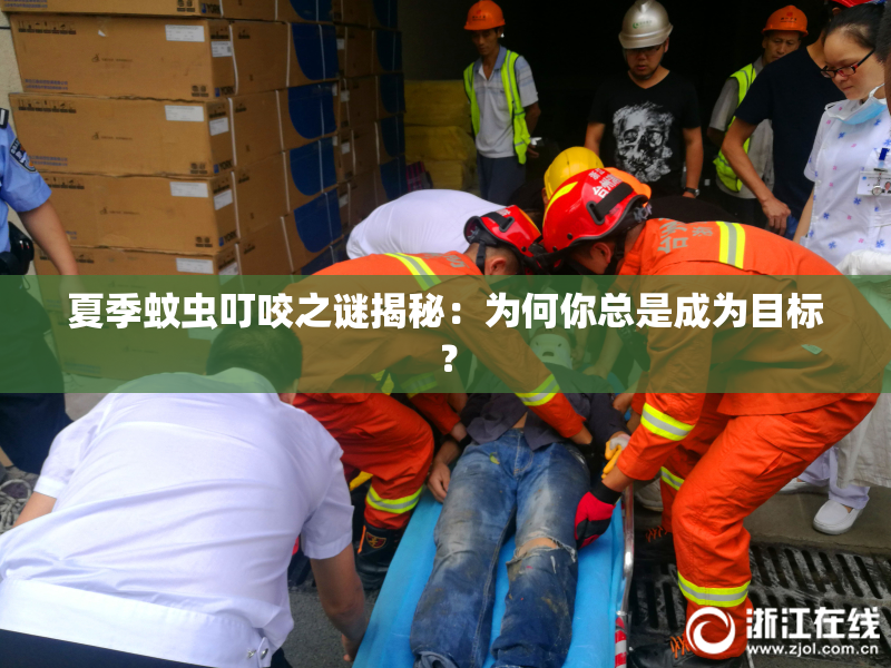 夏季蚊虫叮咬之谜揭秘：为何你总是成为目标？