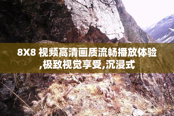 8X8 视频高清画质流畅播放体验,极致视觉享受,沉浸式
