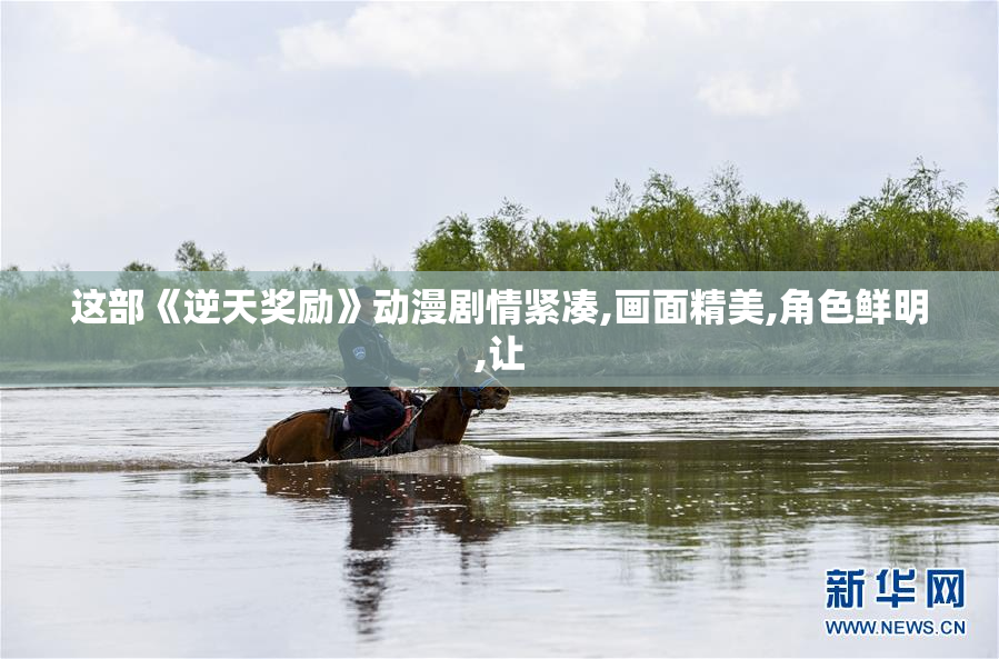 这部《逆天奖励》动漫剧情紧凑,画面精美,角色鲜明,让