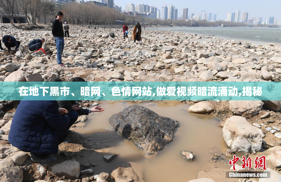 在地下黑市、暗网、色情网站,做爱视频暗流涌动,揭秘