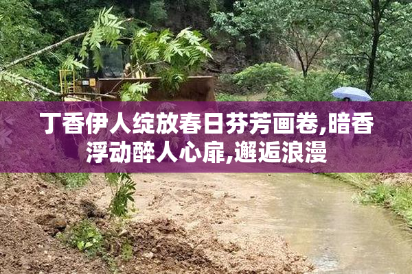 丁香伊人绽放春日芬芳画卷,暗香浮动醉人心扉,邂逅浪漫