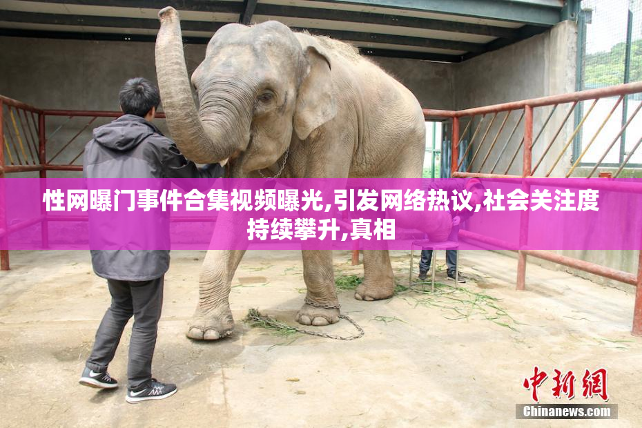 性网曝门事件合集视频曝光,引发网络热议,社会关注度持续攀升,真相