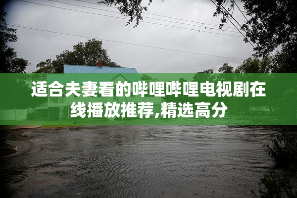 适合夫妻看的哔哩哔哩电视剧在线播放推荐,精选高分