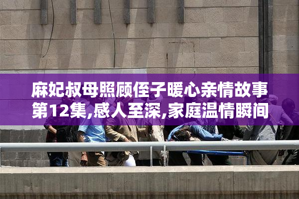麻妃叔母照顾侄子暖心亲情故事第12集,感人至深,家庭温情瞬间