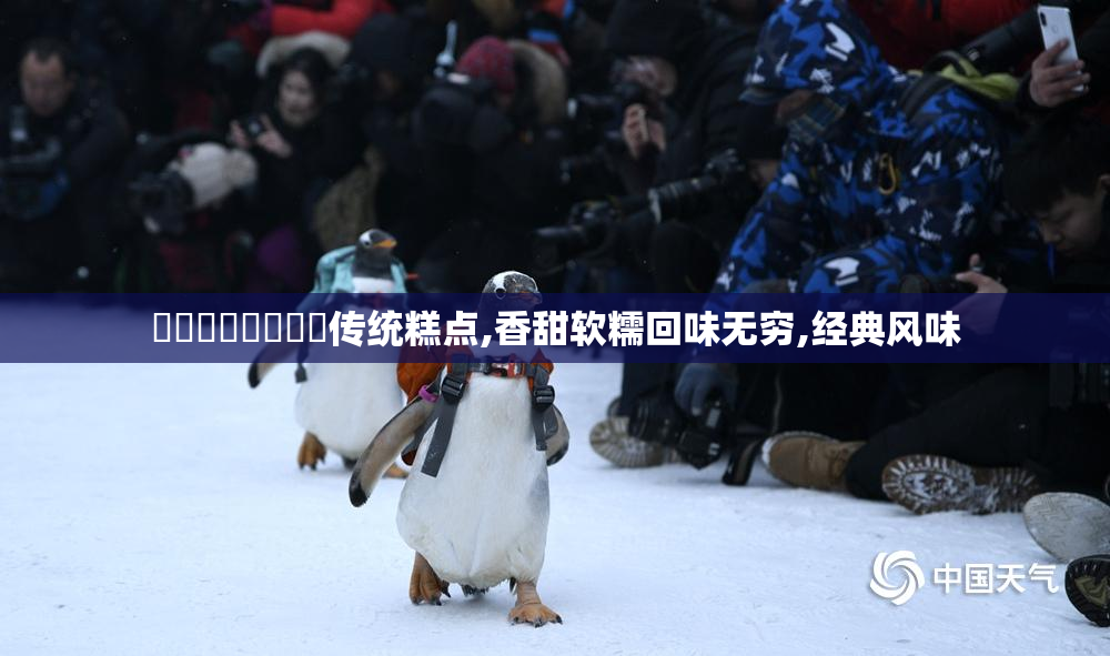馃崙馃崙馃惀馃惀传统糕点,香甜软糯回味无穷,经典风味