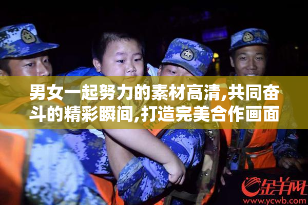 男女一起努力的素材高清,共同奋斗的精彩瞬间,打造完美合作画面