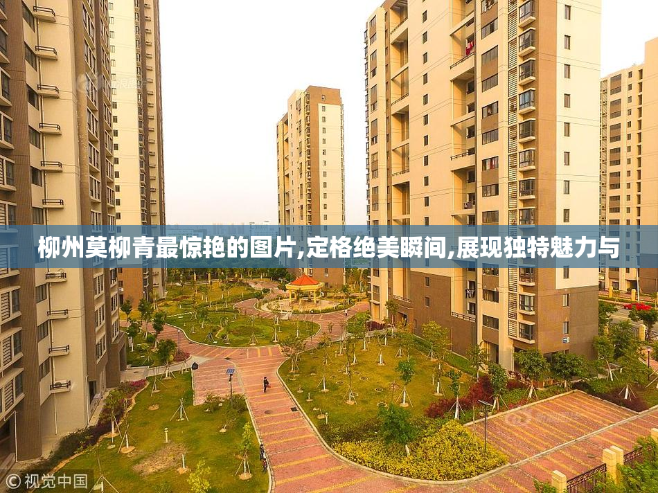 柳州莫柳青最惊艳的图片,定格绝美瞬间,展现独特魅力与