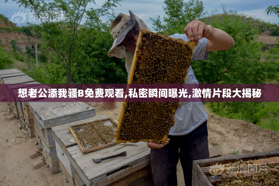想老公添我骚B免费观看,私密瞬间曝光,激情片段大揭秘