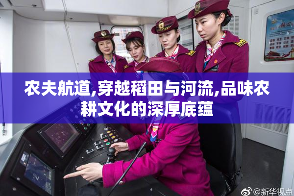 农夫航道,穿越稻田与河流,品味农耕文化的深厚底蕴