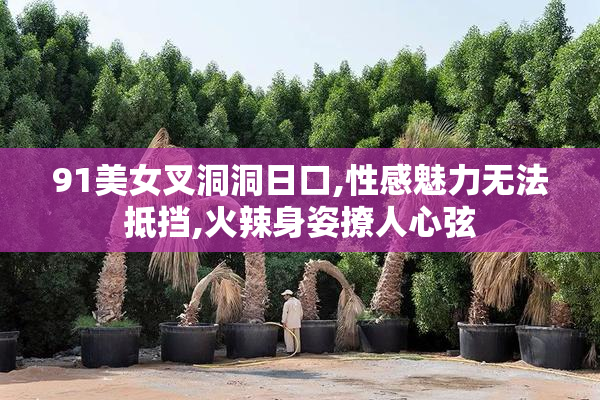 91美女叉洞洞日口,性感魅力无法抵挡,火辣身姿撩人心弦
