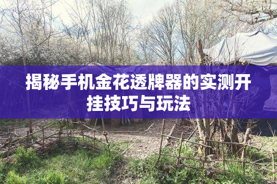 揭秘手机金花透牌器的实测开挂技巧与玩法