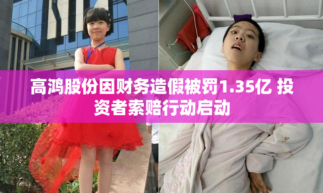 高鸿股份因财务造假被罚1.35亿 投资者索赔行动启动
