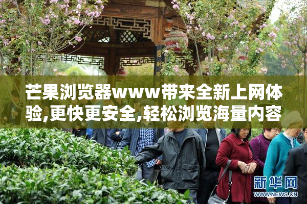 芒果浏览器www带来全新上网体验,更快更安全,轻松浏览海量内容