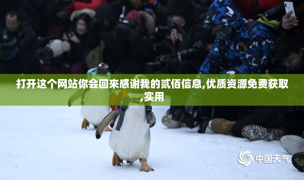 打开这个网站你会回来感谢我的贰佰信息,优质资源免费获取,实用
