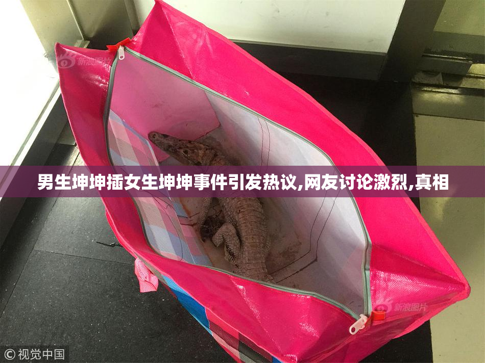 男生坤坤插女生坤坤事件引发热议,网友讨论激烈,真相