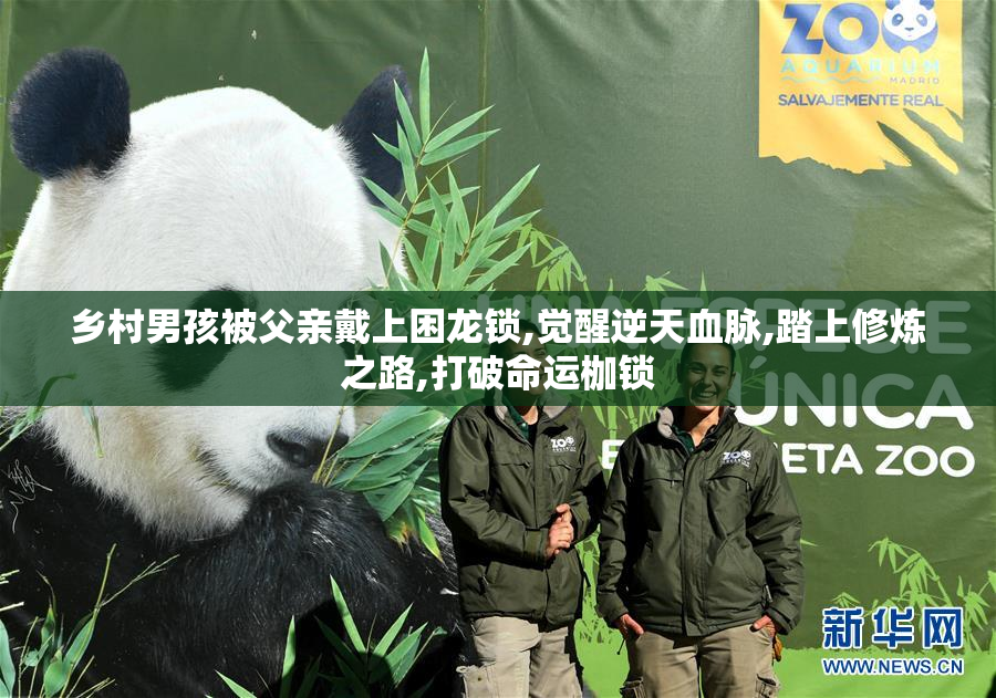 乡村男孩被父亲戴上困龙锁,觉醒逆天血脉,踏上修炼之路,打破命运枷锁