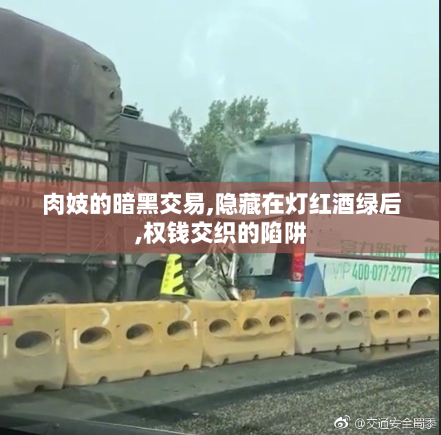 肉妓的暗黑交易,隐藏在灯红酒绿后,权钱交织的陷阱
