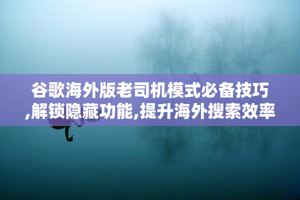 谷歌海外版老司机模式必备技巧,解锁隐藏功能,提升海外搜索效率