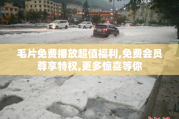 毛片免费播放超值福利,免费会员尊享特权,更多惊喜等你
