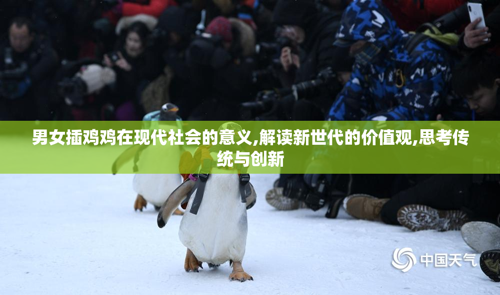 男女插鸡鸡在现代社会的意义,解读新世代的价值观,思考传统与创新