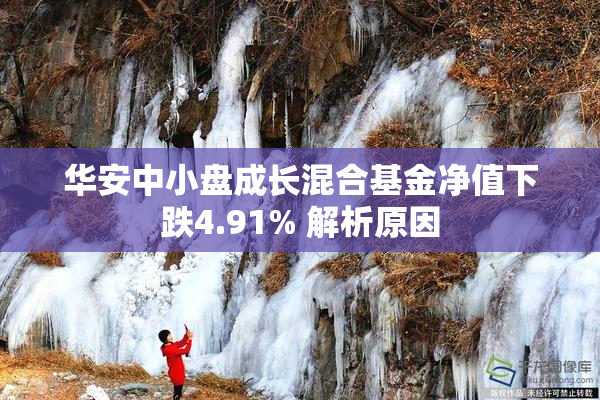 华安中小盘成长混合基金净值下跌4.91% 解析原因