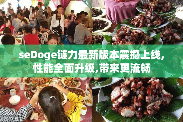 seDoge链力最新版本震撼上线,性能全面升级,带来更流畅
