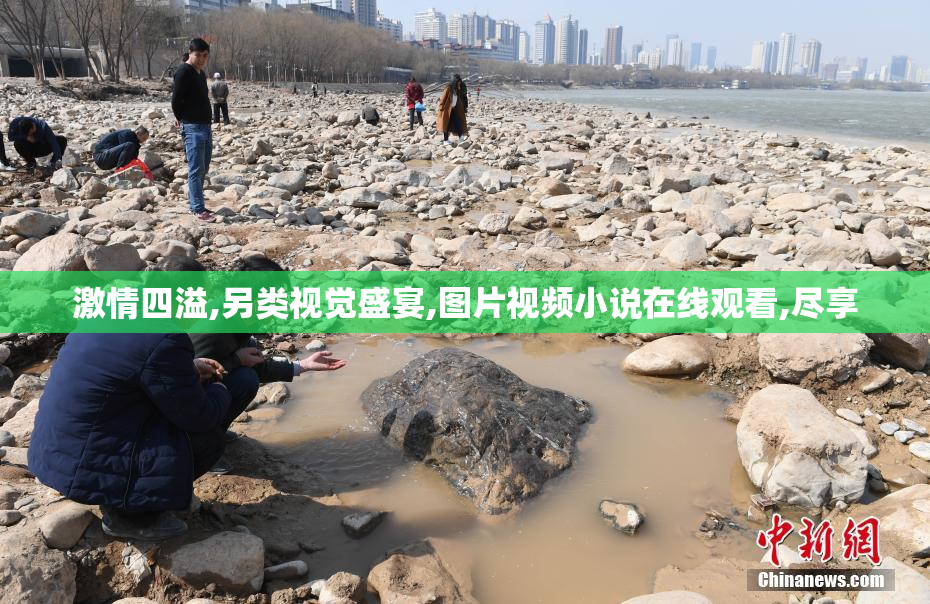 激情四溢,另类视觉盛宴,图片视频小说在线观看,尽享