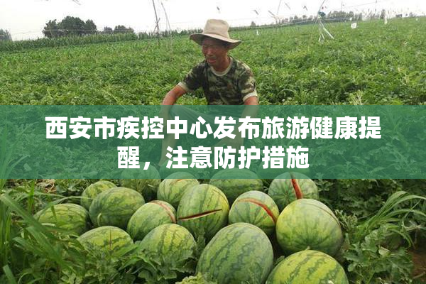 西安市疾控中心发布旅游健康提醒，注意防护措施