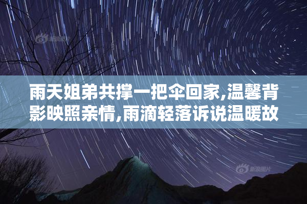 雨天姐弟共撑一把伞回家,温馨背影映照亲情,雨滴轻落诉说温暖故事