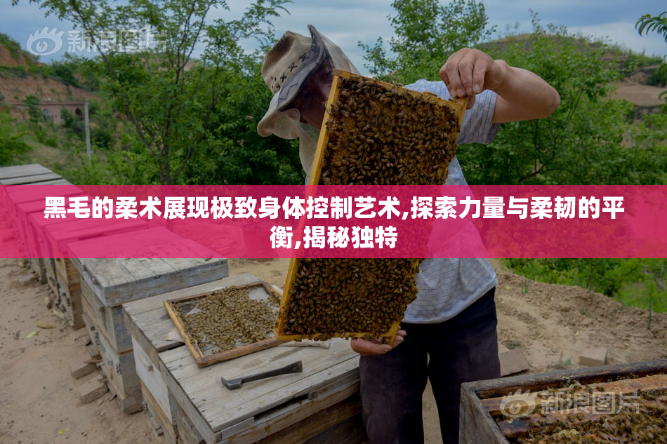黑毛的柔术展现极致身体控制艺术,探索力量与柔韧的平衡,揭秘独特
