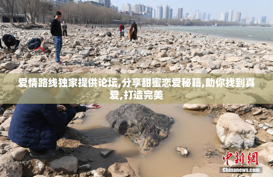 爱情路线独家提供论坛,分享甜蜜恋爱秘籍,助你找到真爱,打造完美