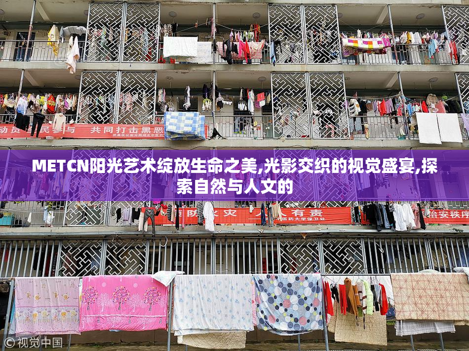 METCN阳光艺术绽放生命之美,光影交织的视觉盛宴,探索自然与人文的