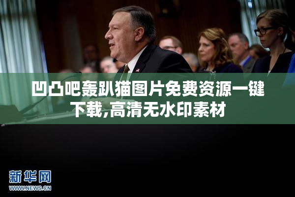凹凸吧轰趴猫图片免费资源一键下载,高清无水印素材