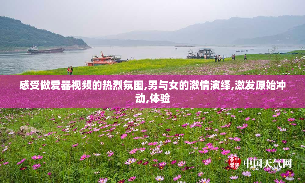 感受做爱器视频的热烈氛围,男与女的激情演绎,激发原始冲动,体验