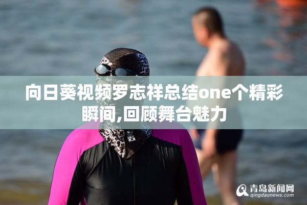 向日葵视频罗志祥总结one个精彩瞬间,回顾舞台魅力