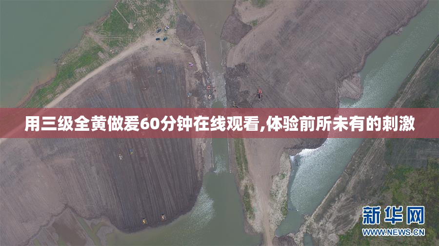 用三级全黄做爰60分钟在线观看,体验前所未有的刺激