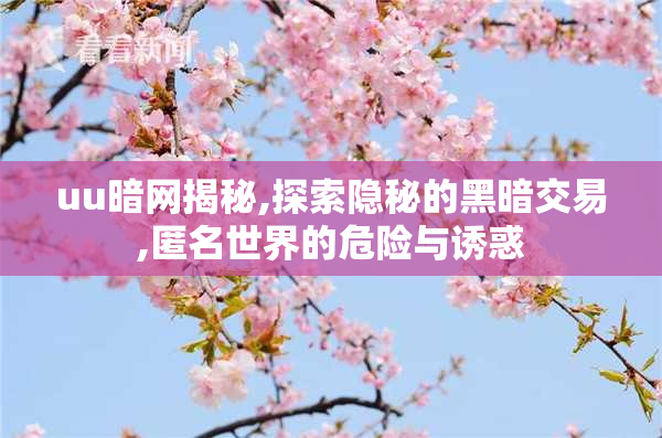 uu暗网揭秘,探索隐秘的黑暗交易,匿名世界的危险与诱惑
