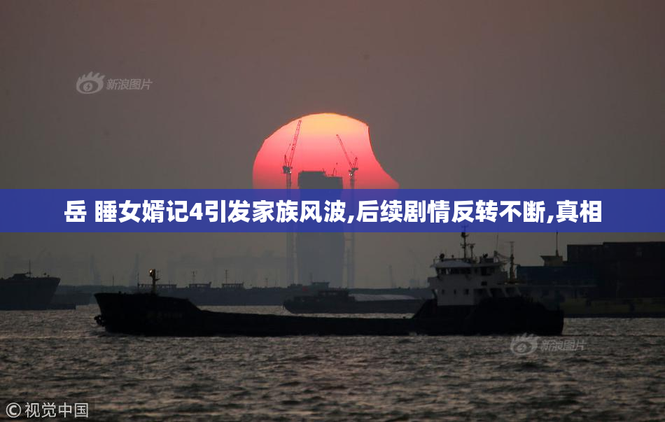 岳 睡女婿记4引发家族风波,后续剧情反转不断,真相