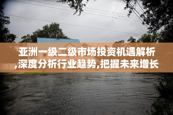 亚洲一级二级市场投资机遇解析,深度分析行业趋势,把握未来增长潜力