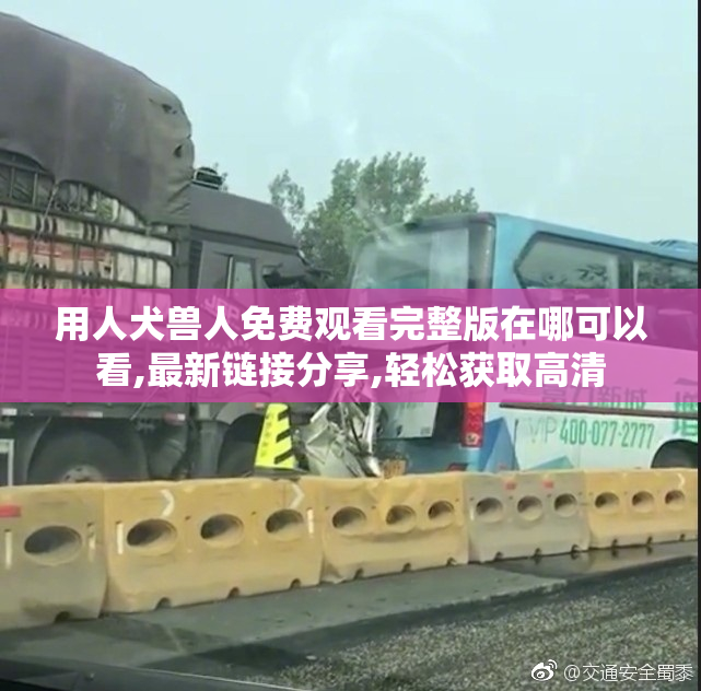 用人犬兽人免费观看完整版在哪可以看,最新链接分享,轻松获取高清