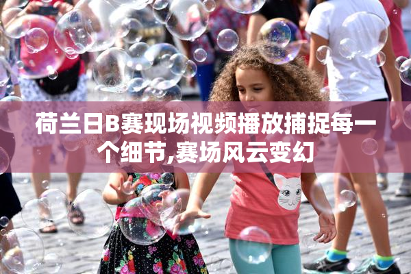 荷兰日B赛现场视频播放捕捉每一个细节,赛场风云变幻